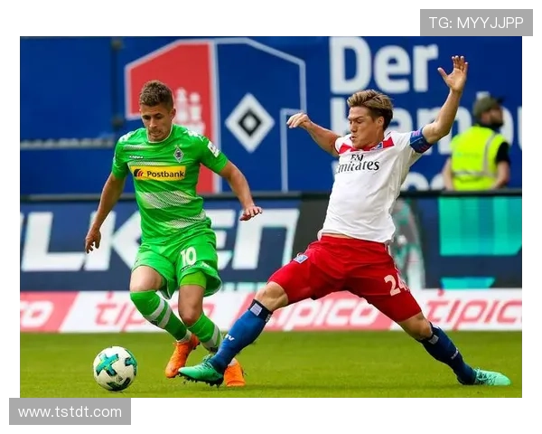 霍芬海姆1899足球俱乐部发展历程与球队成就分析